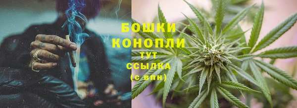 гашик Михайловка