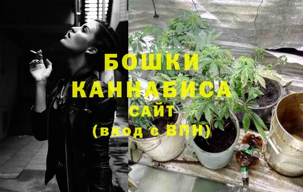 гашик Михайловка