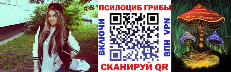 гидра зеркало  Великий Новгород  Галлюциногенные грибы мицелий 